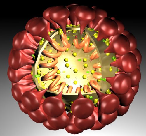 3D модель вируса